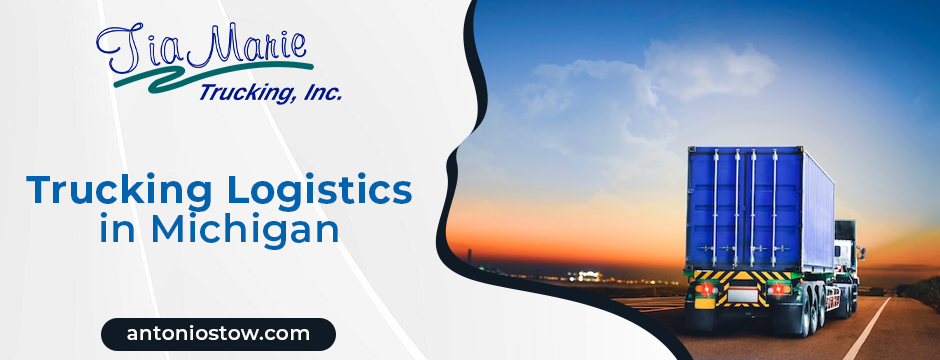 trucking logistics in Michigan